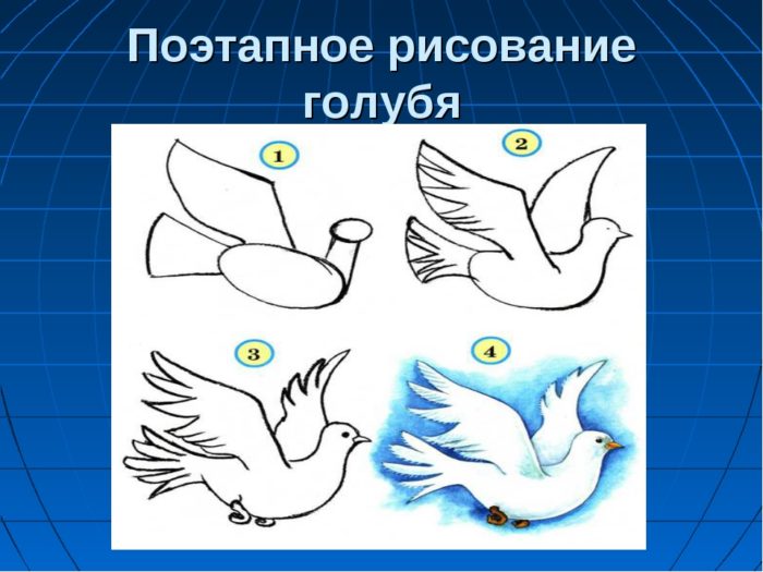 Конспект урока на тему рисование с натуры птиц