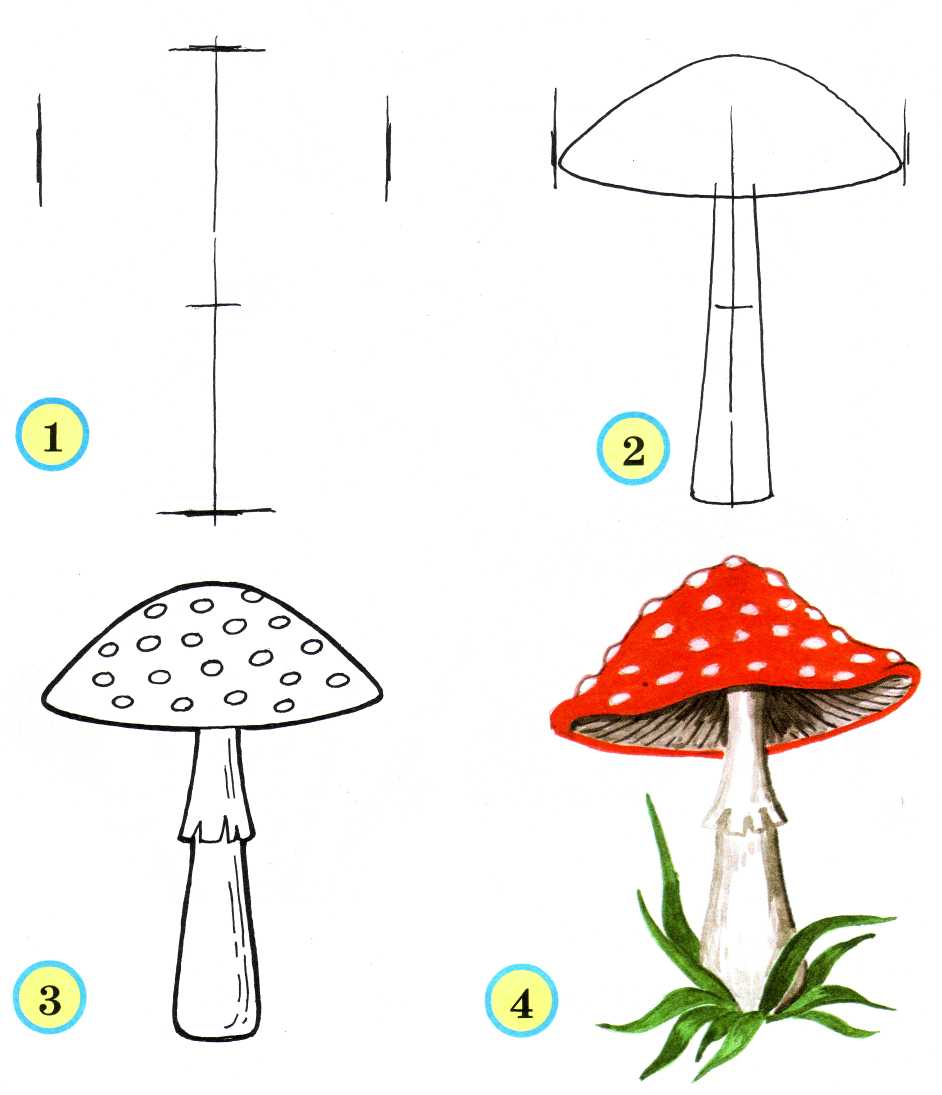 Конспект урока по изо з класс тема урока рисование грибов