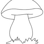 Один гриб на траве