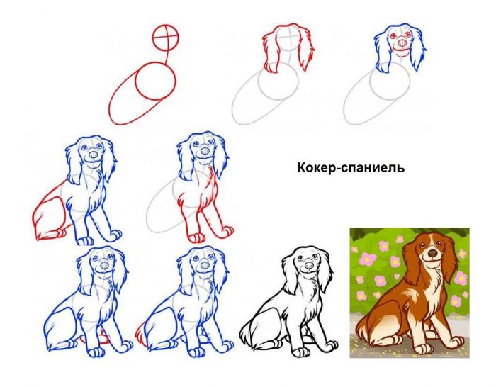 Схема рисования сидящей собаки